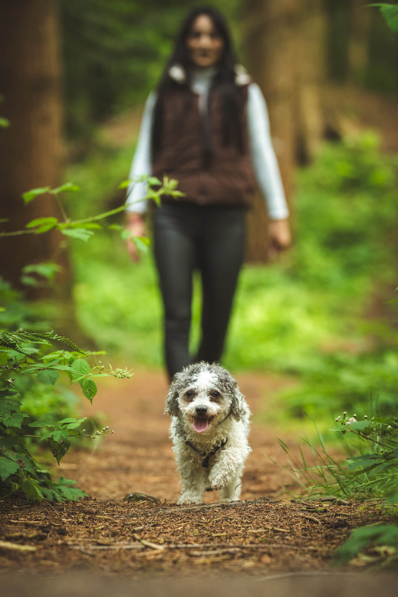 Hundefotografie Ostfriesland Leer